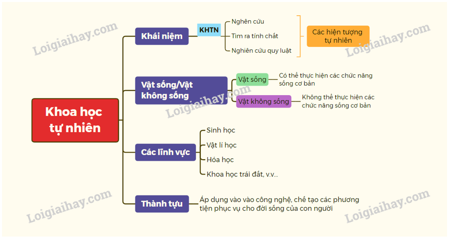 MỞ ĐẦU
